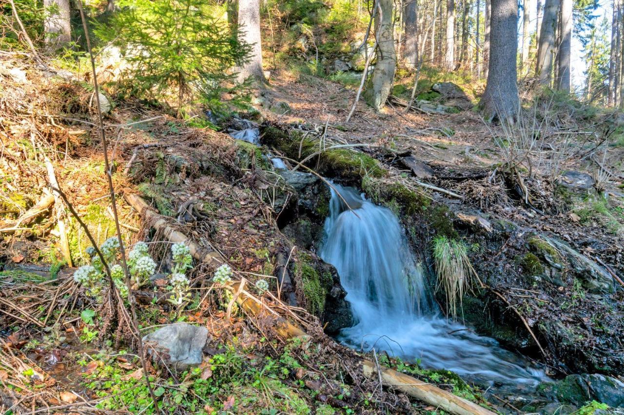 Penzion Horajda Hotel Vitkovice Bagian luar foto
