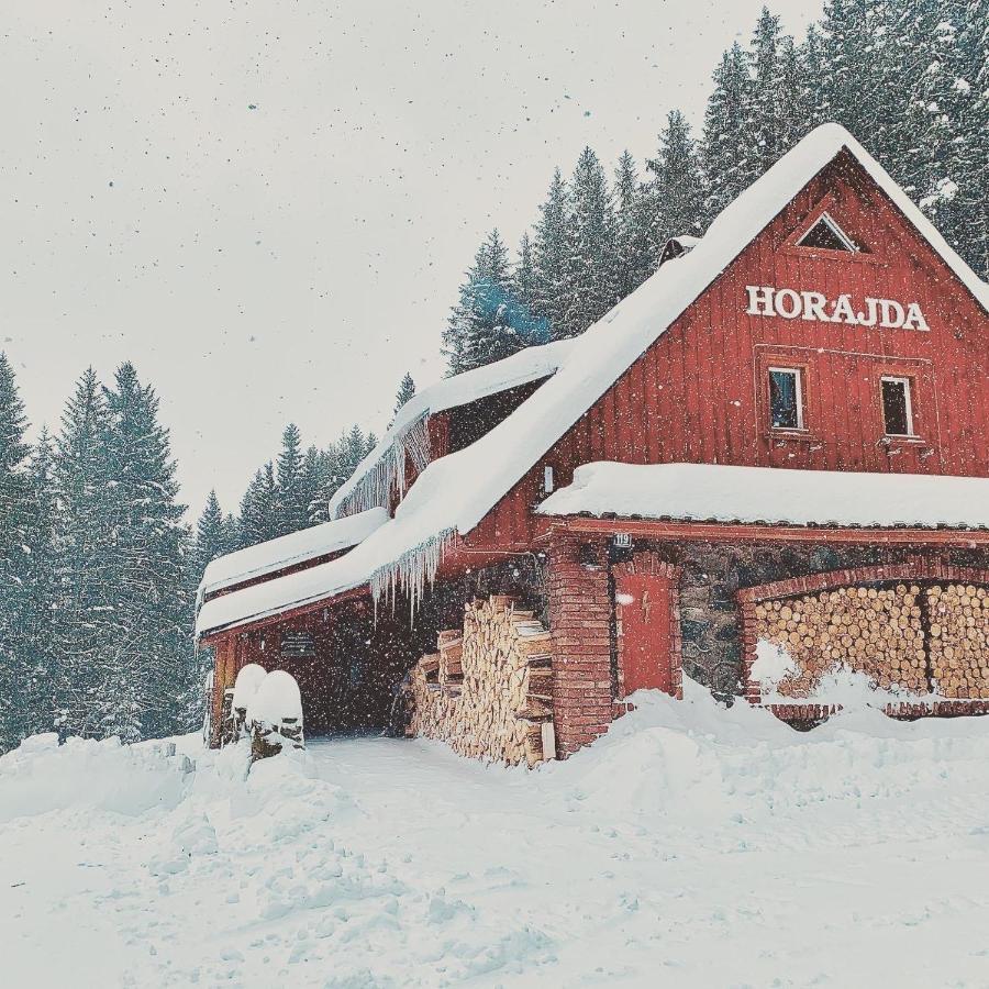 Penzion Horajda Hotel Vitkovice Bagian luar foto